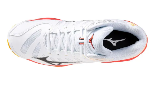 V1GA2465-98 2 V1GA2465-98 2