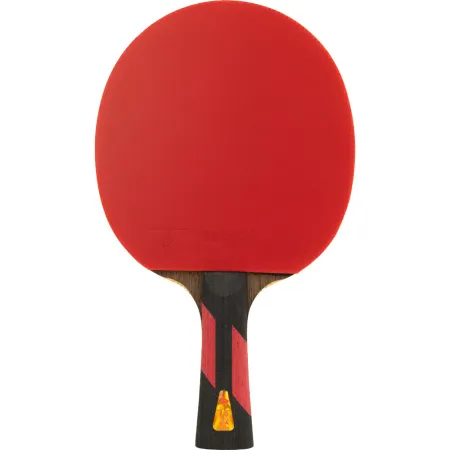 Ракетка для н/т DOUBLE FISH 7A+C, для професс.,ITTF Appr.,накл.2,1мм,+ 2 мяча V40+мм ITTF Appr за 3&nbsp;559.80 ₽ купить в Новосибирске