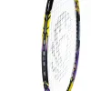 Ракетка бадм. TORRES Carbon PRO6, BD20521,для продв., стерж/обод из карбона,со струнами, фиол за 4&nbsp;477.80 ₽ купить в Новосибирске