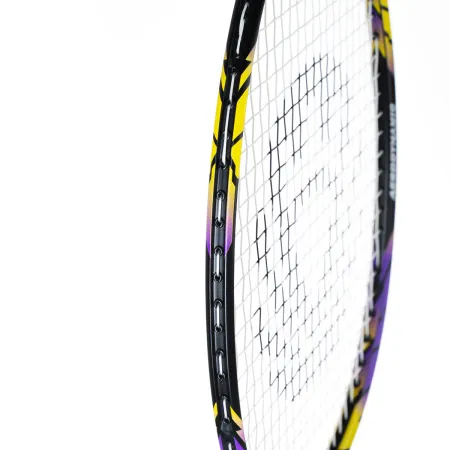 Ракетка бадм. TORRES Carbon PRO6, BD20521,для продв., стерж/обод из карбона,со струнами, фиол за 4&nbsp;477.80 ₽ купить в Новосибирске