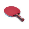 Ракетка для н/т DOUBLE FISH, CK-205, для любителей, ITTF,наклад. 2.0 мм, конич. ручка + сумка-чехол за 1&nbsp;490.90 ₽ купить в Новосибирске