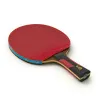 Ракетка для н/т DOUBLE FISH 7A+C, для професс.,ITTF Appr.,накл.2,1мм,+ 2 мяча V40+мм ITTF Appr за 3&nbsp;559.80 ₽ купить в Новосибирске