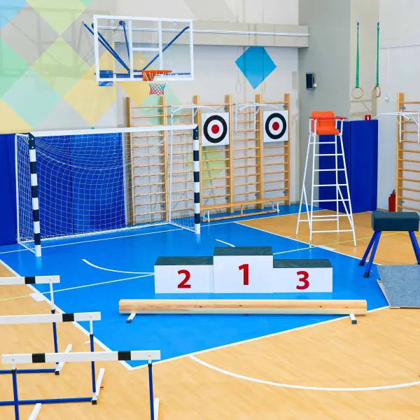 Щит для метания навесной на шведскую стенку (фанера) 700х700 ZAVODSPORTA за 8&nbsp;960 ₽ в Новосибирске