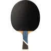 Ракетка для н/т DOUBLE FISH 5A+C, для продвин, ITTF Appr, накл. 2,1 мм, конич. ручка+ 2 мяча V40+мм за 2&nbsp;779.50 ₽ купить в Новосибирске