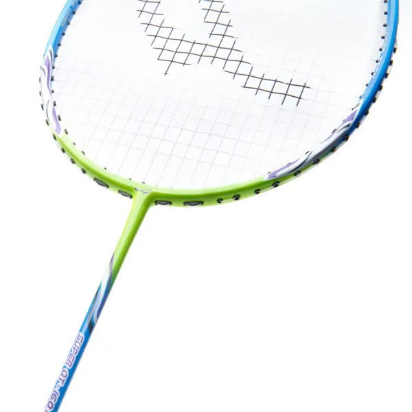 Ракетка для бадм. DOUBLE FISH JINQUE QT-1601, для продвинутых,карбон со струнами,литая,голубой за 3&nbsp;015.80 ₽ в Новосибирске
