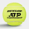 Мяч теннисный Dunlop ATP Championship 4B, 601627, уп.4ш, одобр. ITF, нат.резина,фетр. за 1&nbsp;242.70 ₽ купить в Новосибирске