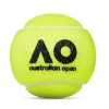 Мяч теннисный Dunlop Australian Open, 601601, уп..3 шт, одобр.ITF,фетр,нат.резина, желтый за 1&nbsp;171.30 ₽ купить в Новосибирске
