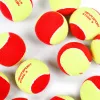 Мяч теннисный детский NS Red, 5021009, уп.12 шт, резина, шерть, нейлон, желто-красный за 2&nbsp;941 ₽ купить в Новосибирске