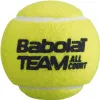 Мяч теннисный BABOLAT Team All Court,502081, уп.4 шт,одобр.ITF, сукно, нат.резина,желтый за 2&nbsp;385.10 ₽ купить в Новосибирске
