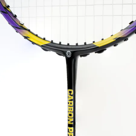 Ракетка бадм. TORRES Carbon PRO6, BD20521,для продв., стерж/обод из карбона,со струнами, фиол за 4&nbsp;477.80 ₽ купить в Новосибирске