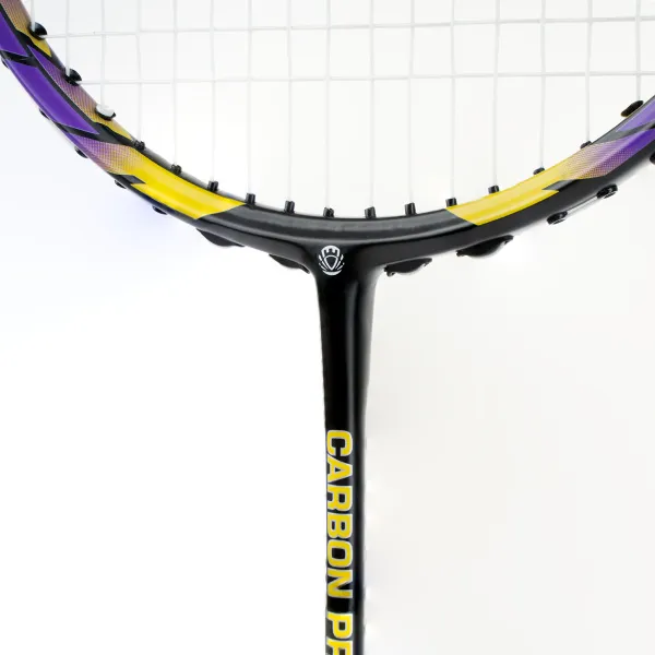 Ракетка бадм. TORRES Carbon PRO6, BD20521,для продв., стерж/обод из карбона,со струнами, фиол за 4&nbsp;477.80 ₽ в Новосибирске