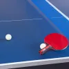 Стол для наст. тенниса DOUBLE FISH 201C-1, Indoor для закрытых помещений, толщина 18мм, синий за 52&nbsp;382.10 ₽ купить в Новосибирске