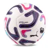 Мяч футб. PUMA Stellar Goal PL Reactivity, 08519301, р.5, 16п, ТПУ, маш. сш, бело-фиолетово-розовый за 6&nbsp;291.70 ₽ купить в Новосибирске